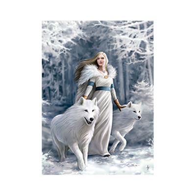 1000 winter guardians- anne stokes - 06639477