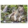 1000 tigres blancos de bengala - 04014808