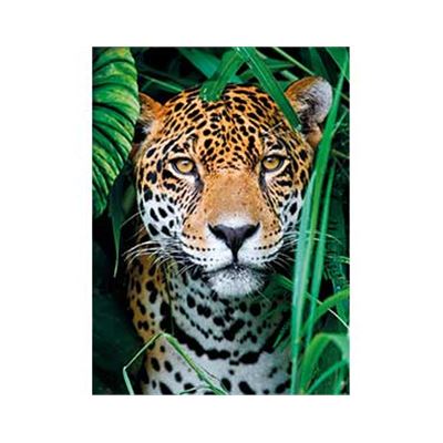 500 el jaguar en la jungla - 06635127