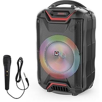Woofer 2*4´power20w recharge time: 5-6 hours play