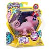 Little live pets. nova tu camaleón luminoso - 13014420