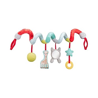 ESPIRAL DE ACTIVIDAD