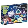 Laboratorio de Cristales Gigantes