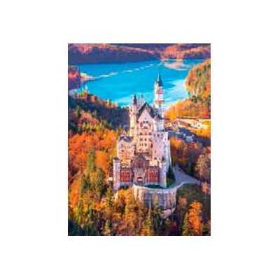 1000 PIEZAS HIGH QUALITY NEUSCHWASTEIN