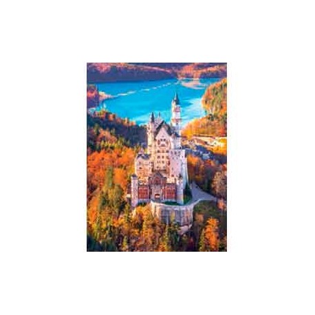 1000 PIEZAS HIGH QUALITY NEUSCHWASTEIN