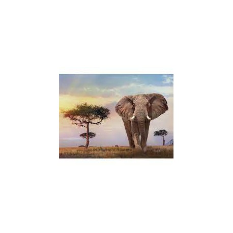 500 PUESTA DE SOL EN AFRICA