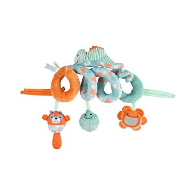 CHAMELEON ACTIVITY SPIRAL