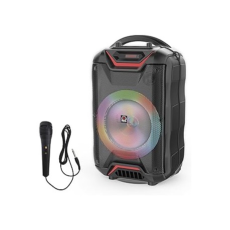 Woofer 2*4”Power:20w Recharge Time: 5-6 Hours Play