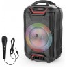 Woofer 2*4”Power:20w Recharge Time: 5-6 Hours Play