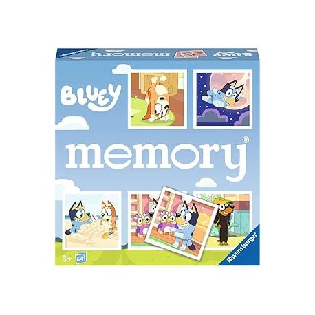 BLUEY MEMORY