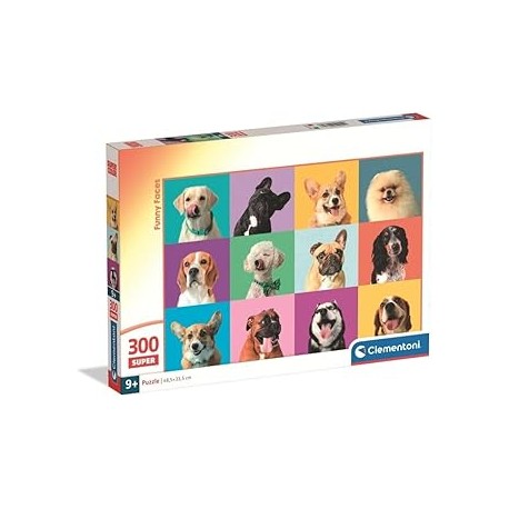 PZL 300 FUNNY FACES 2025