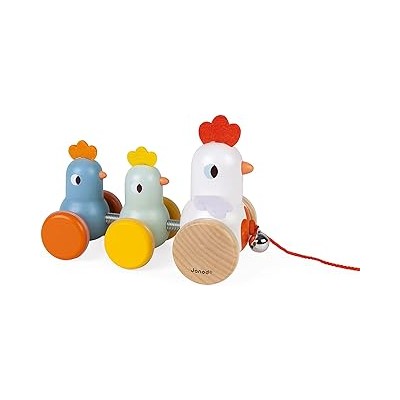 ARRASTRE GALLINA Y SUS POLLITOS