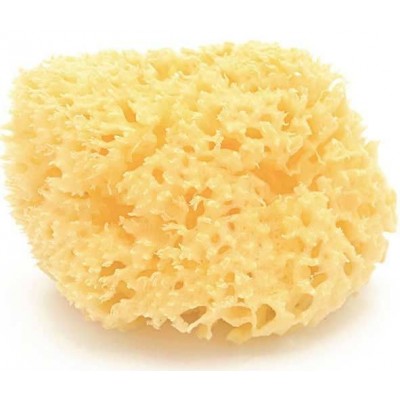 ESPONJA NATURAL ARCIPIELAGO N10