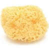 ESPONJA NATURAL ARCIPIELAGO N10