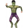 DISFRAZ HULK INFANTIL 9-10