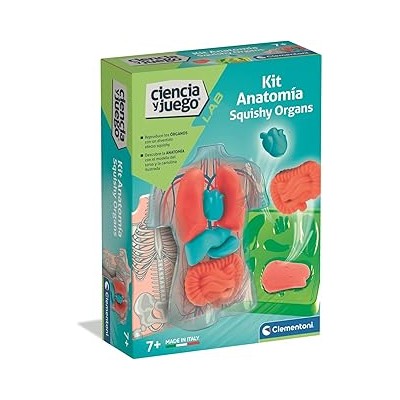 ANATOMIA SQUISHY (ES)