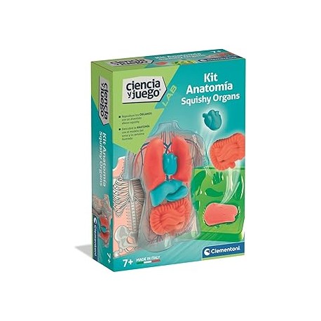 ANATOMIA SQUISHY (ES)