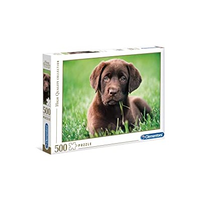 500 Perrito Chocolate