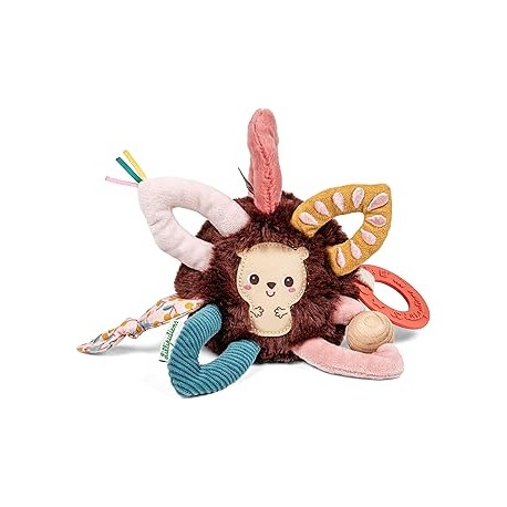 LEON, ANILLOS SENSORIALES