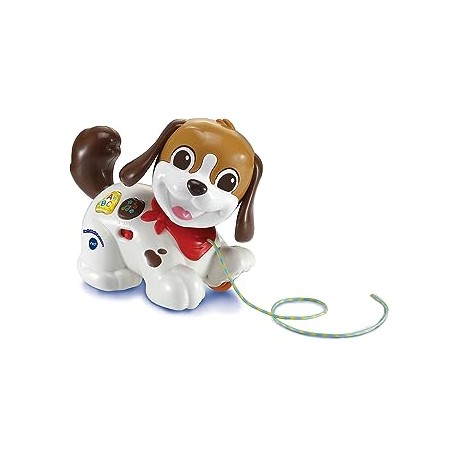 PERRITO INFANTIL PASEOS Y AVENTURAS