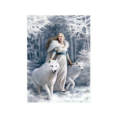 1000 WINTER GUARDIANS- ANNE STOKES