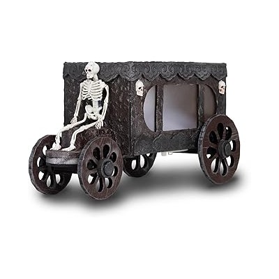 CARROZA FÚNEBRE CON LUZ Y SONIDO