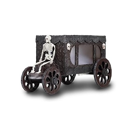 CARROZA FÚNEBRE CON LUZ Y SONIDO