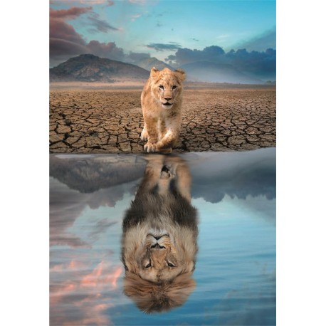 PUZZLE 300 SUPER NOLI SELF REFLECTATION