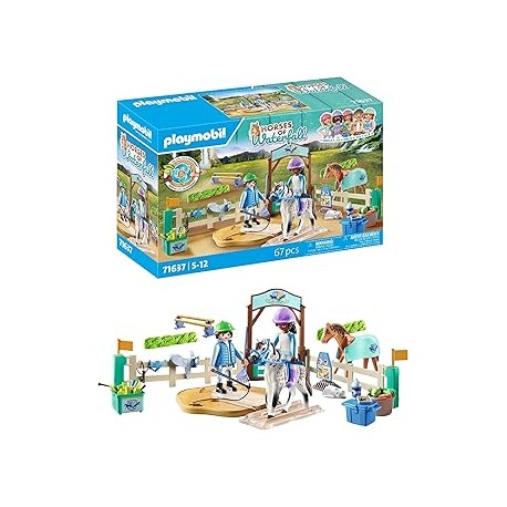 ESCUELA MODERNA DE EQUITACION