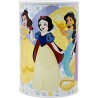 STOR HUCHA METALICA DISNEY PRINCESS TRUE