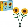 Girasoles