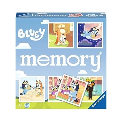 BLUEY MEMORY