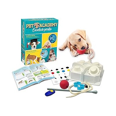 Pet Academy Escuela De Perritos