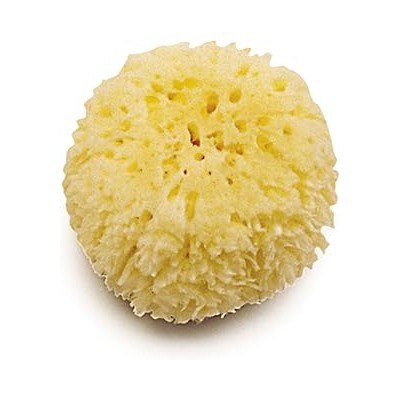 ESPONJA NATURAL MARINA