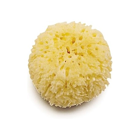 ESPONJA NATURAL MARINA